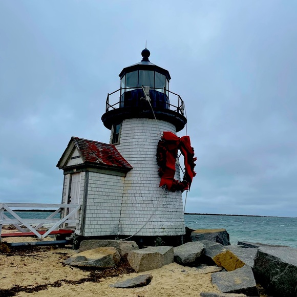 Meet your Posher, Molly - Picture 1 of 1